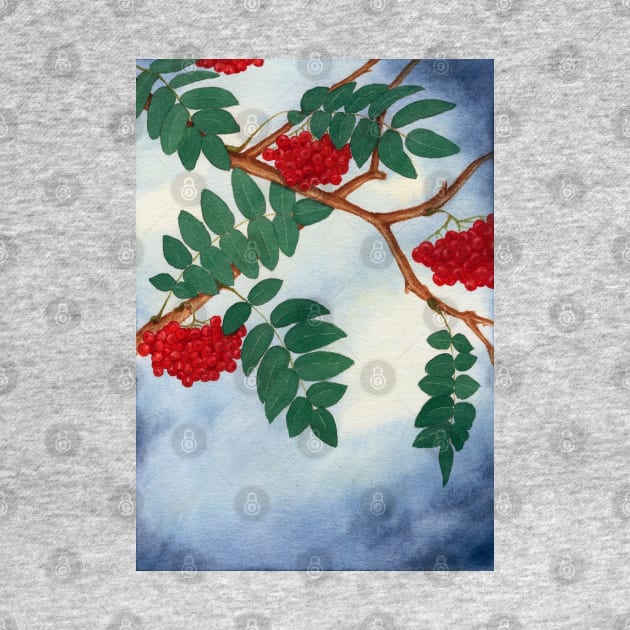 MOUNTAIN ASH LEAVES TREE TREES BLUE SKY SPRING SEASONS by BeautyMoment